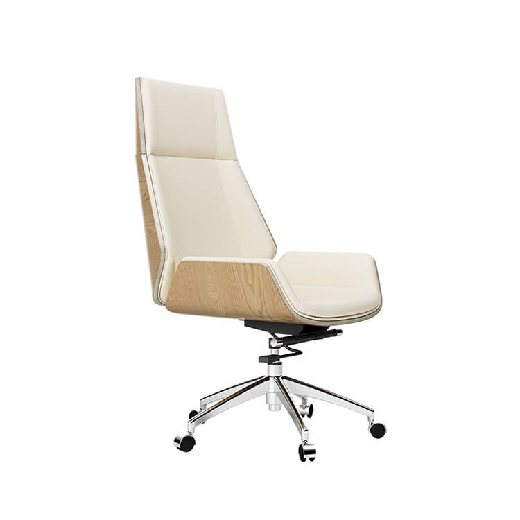 Modern Executive Chair Office Chair with Backrest - Maoters